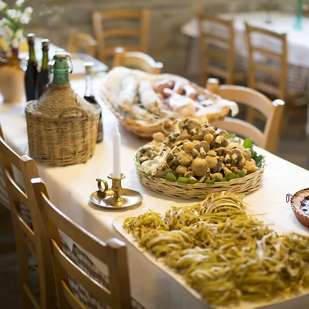 Zita فندق سيستولا