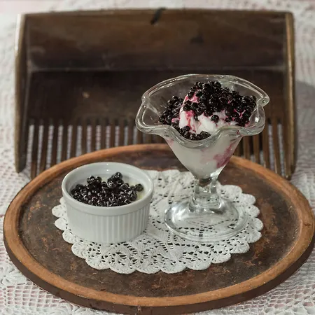 Zita فندق سيستولا